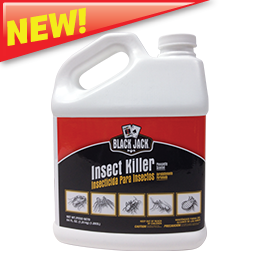 Black Jack Bug Killer